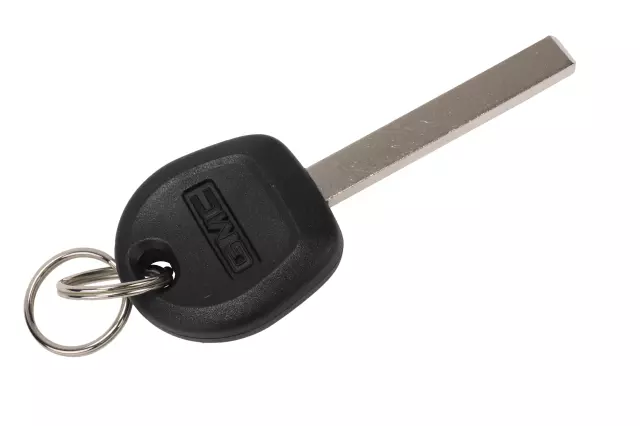 13520800 - : Door Lock And Ignition Key for GM Image