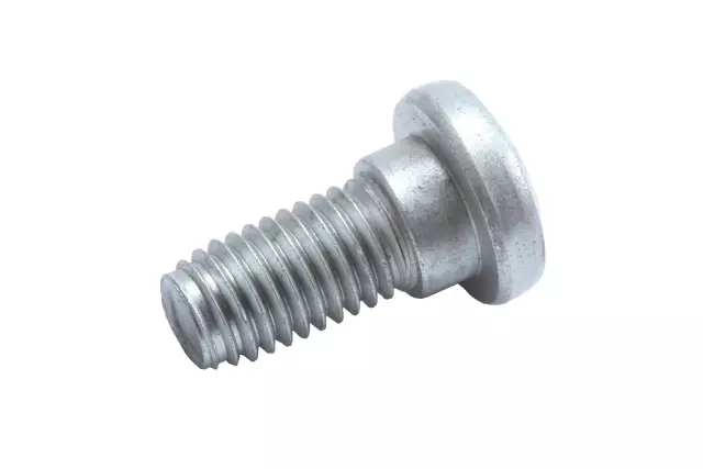 Bolt - GM (11569882)