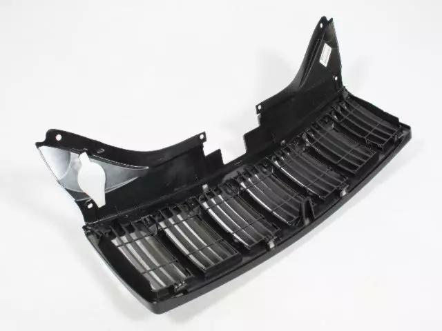 Radiator Grille - Mopar (1DF491X8AB)