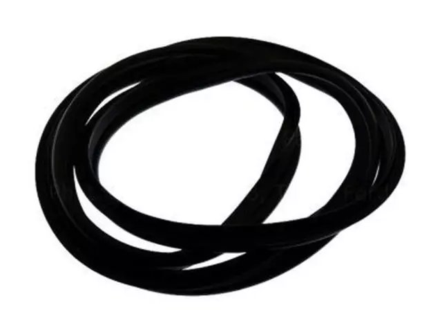 Weatherstrip - Ford (DP5Z-5443720-B)