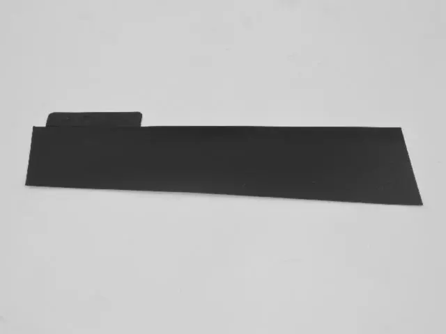 Rear Door Applique, Left - Mopar (4389931AD)