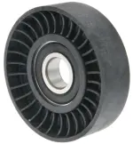 5020 - : Idler / Tensioner Pulley for Hayden Image
