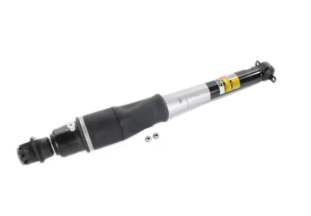 19300026 - : Shock Absorber for Buick: Lucerne | Cadillac: DTS Image