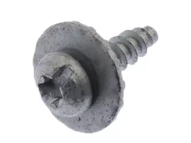 Fog Lamp Assembly Screw - Ford (W716890-S442)