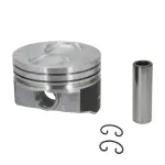 H423DCP40 - : Engine Piston Set for SEALED POWER Image