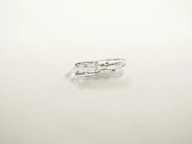 9098111018 - Body: Bulb for Lexus: ES300, ES330, ES350, GS300, GS400, GS430, GX470, IS300, LS400, LX570, RX330, RX350, RX400h, SC430 Image