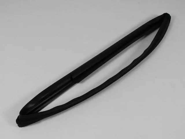 55399191AH - : Front Door Glass Run Weatherstrip, Left for Mopar Image