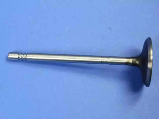 4884691AA - : Intake Valve for Mopar Image