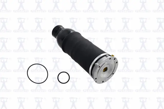 Q9001 - Suspension &amp; Steering: Focus Auto Parts Air Suspension Spring for Focus Auto Parts Image