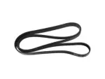 2R3Z8620AC - : Serpentine Belt for Ford Image