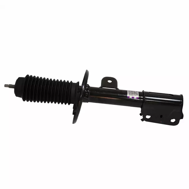 Suspension Strut - Ford (DB5Z-18124-M)