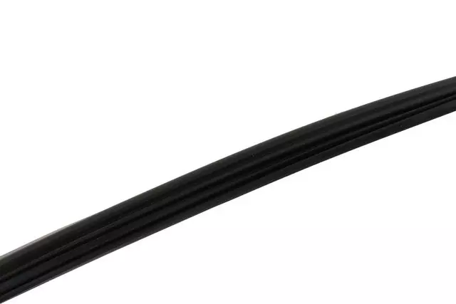 Sunroof Window Seal - GM (22926544)