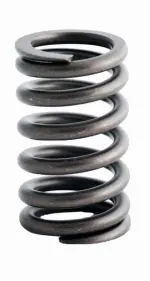 ERV1348 - : Engine Valve Spring for Enginetech Image