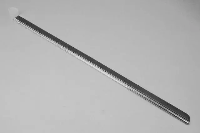 WG20CB6AC - Exterior Ornamentation: Rear Door Molding, Right for Chrysler: 300 | Dodge: Charger, Magnum Image