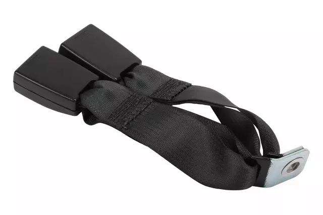Ebony Rear Center Seat Belt with Buckle - GM (89025888)