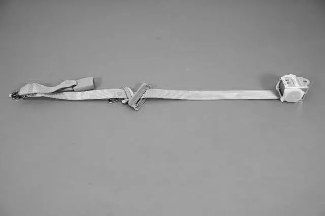 Rear Center Shoulder Seat Belt - Mopar (1BY501T1AD)