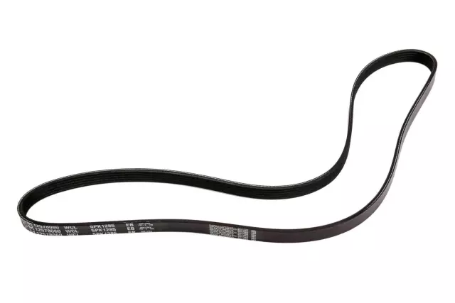 12578060 - Maintenance &amp; Lubrication: Serpentine Belt for Cadillac: XLR Image