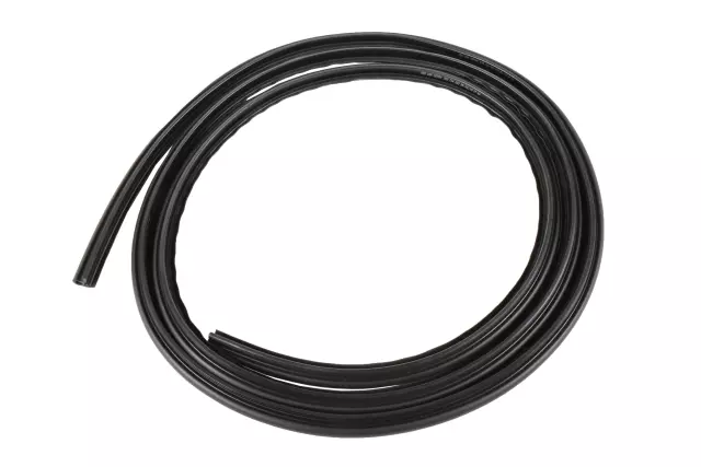 25842116 - Body: Outer Weather-strip for Buick: LaCrosse | Chevrolet: Impala Image