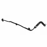 G3GZ8075A - : Overflow Hose for Lincoln: Continental Image