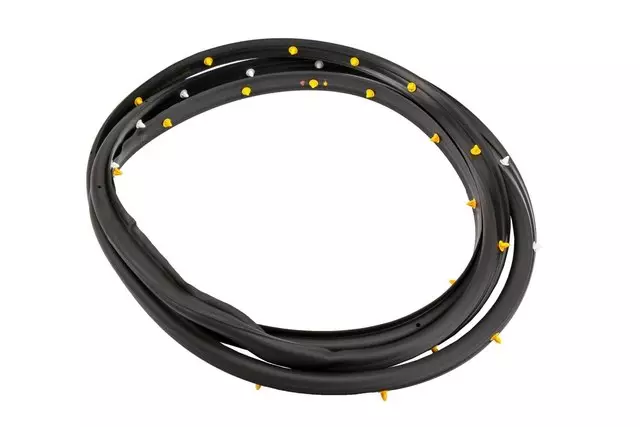 20981187 - Body: Door Weather-strip for Cadillac: SRX Image