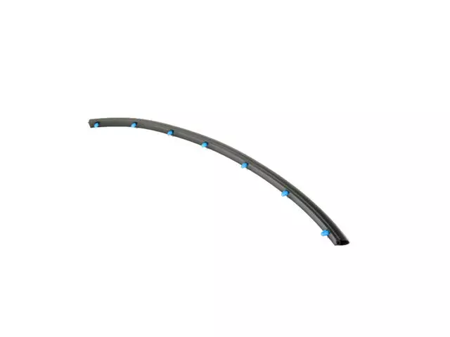 Rear Door Opening Weatherstrip - Mopar (68287578AA)