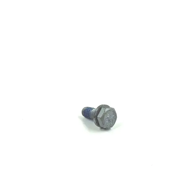 N10082911 - Hardware and Service Supplies: Screw for Lamborghini Image