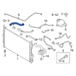 LK4Z8260G - : Radiator Coolant Hose for Ford: Transit-150, Transit-250, Transit-350, Transit-350 HD Image