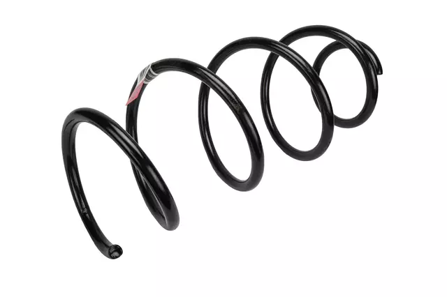 Front Coil Spring - GM (22869423)