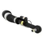 AS2548 - : Arnott Air Suspension Strut for Arnott Image