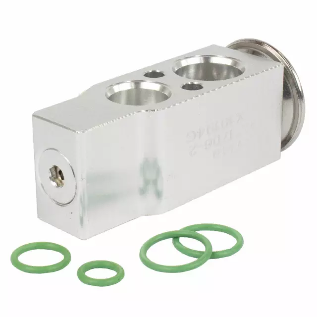 Valve Assembly Evaporator Expansion - Ford (QYG-115)