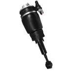 18160000 - : Unity Automotive Air Suspension Strut for Unity Automotive Image