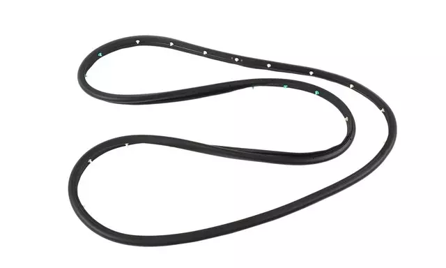 25911914 - Body: Door Weather-strip for Chevrolet: Malibu, Malibu Limited Image