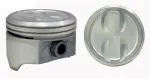 P15056020 - : Engine Piston Set for Enginetech Image