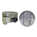 P15028030 - : Engine Piston Set for Enginetech Image