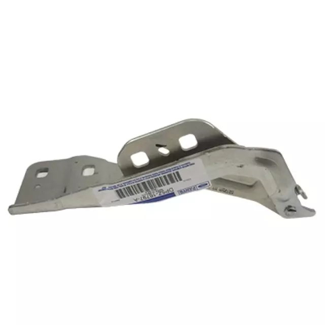 Hinge Assembly Hood - Ford (DP5Z-16797-A)