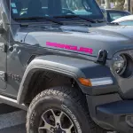68663286AA - : Jeep Wrangler Logo Graphic, Pink, sold by Visco for Affiliated Accessories Image