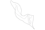 1636822571 - Exhaust: Heat Shield for Mercedes-Benz Image