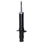 473899 - : PRT 473899 Suspension Strut for PRT PERFORMANCE RIDE Image