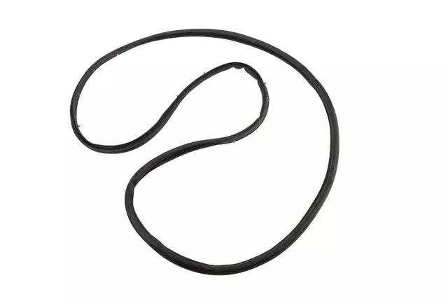 Driver Side Rear Door Weatherstrip - GM (95021342)