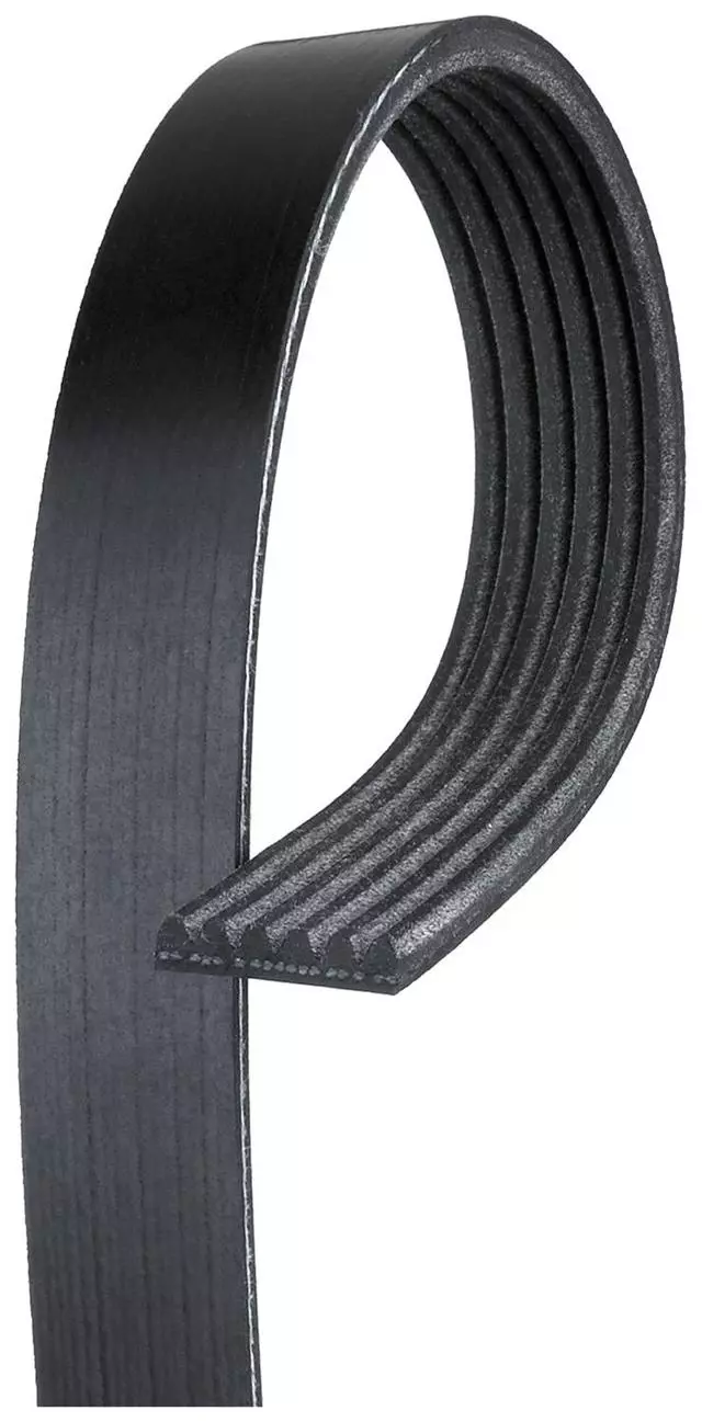 6K427 - Cooling System: Standard V-Ribbed Serpentine Belt for Honda: Odyssey | Isuzu: Oasis, Stylus | Mercedes-Benz: SLK55 AMG Image