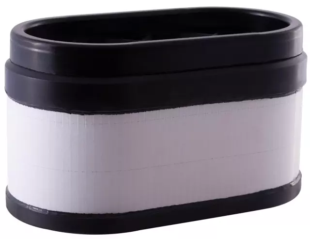 PA5696 - Filters: Premium Guard Engine Air Filter for Premium Guard Image