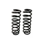 81779 - : Coil Spring Set for Moog Image