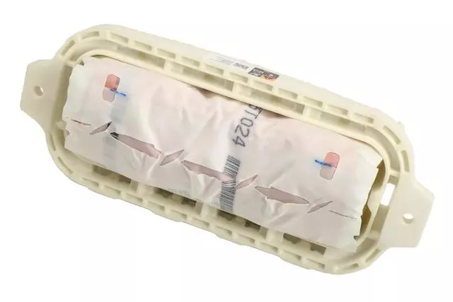 Instrument Panel Airbag - GM (42619059)