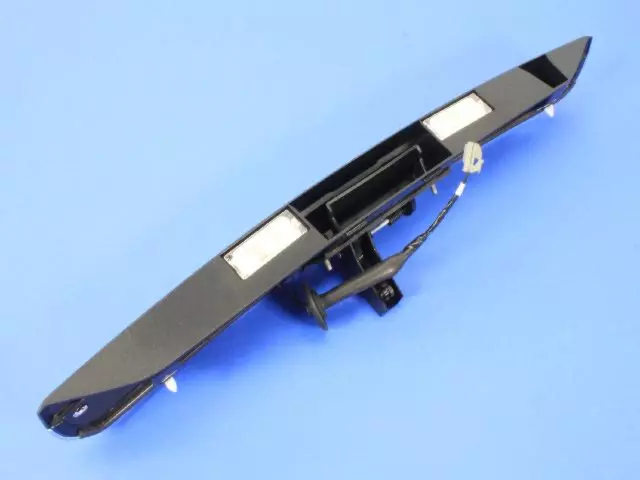 5113251AC - Body: Handle, Outside for Dodge: Grand Caravan Image