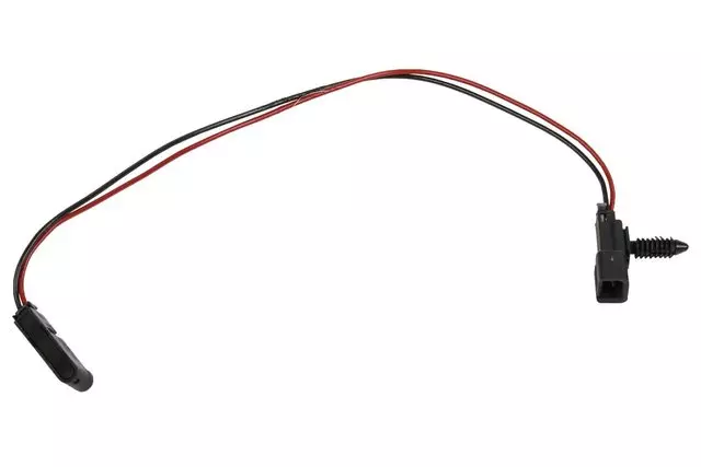 Courtesy Lamp - GM (20813417)