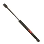 TSG467015 - : TRW-Lift Support for TRW Image