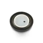 53021585AD - Engine: Crankshaft Oil Seal for Mopar Image