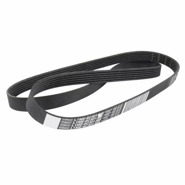 Serpentine Belt - Ford (L1MZ-8620-E)