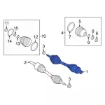 NL1Z3A428A - Front Drive Axle: Axle Assembly for Ford: Expedition | Lincoln: Navigator Image