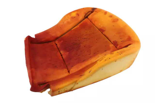 22892421 - Body: Seat Cushion Pad for GM Image